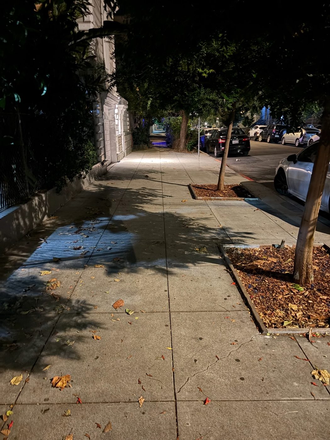 Clean Streets crew cleanup photo, September 5, 2026